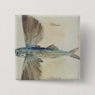 Flying-Fish Pinback Button