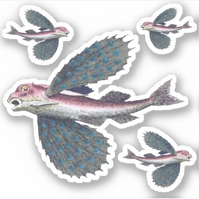 flying fish sticker (Front)