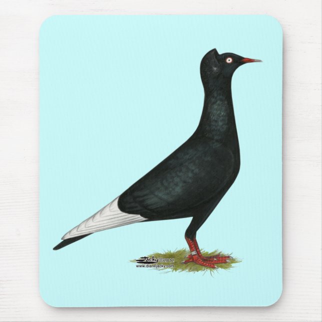 Flying Flight Black Cap Pigeon Mouse Pad (Front)