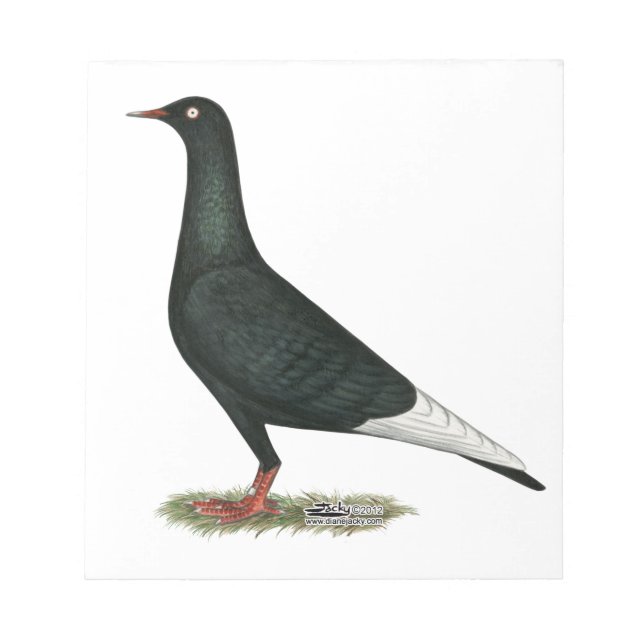 Flying Flight Black Pigeon Notepad (Front)