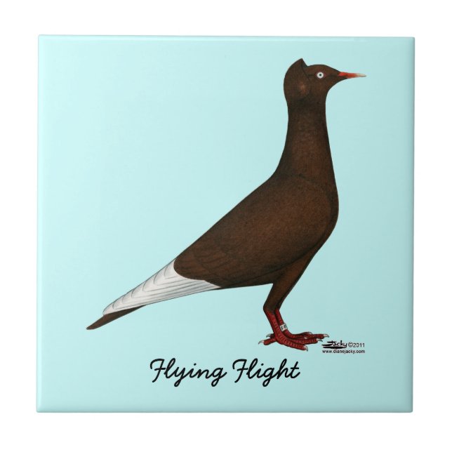Flying Flight Cap Pigeon Ceramic Tile (Front)