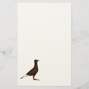 Flying Flight Cap Pigeon Stationery
