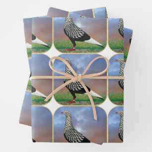 Flying Flight Pigeon and Clouds Wrapping Paper Sheets