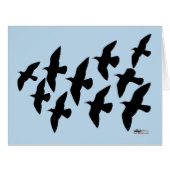 Flying Flight Pigeons (Front Horizontal)