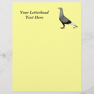 Flying Flight Teager Pigeon