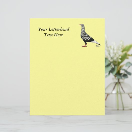 Flying Flight Teager Pigeon (Standing Front)