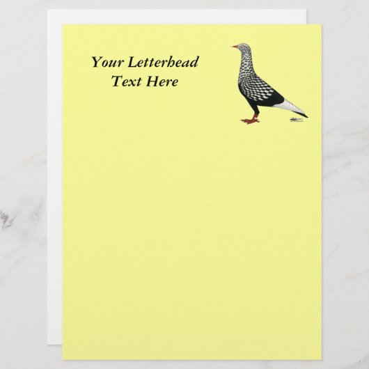 Flying Flight Teager Pigeon (Front/Back)