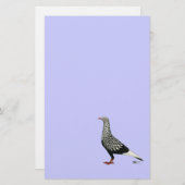 Flying Flight Teager Pigeon (Front/Back)