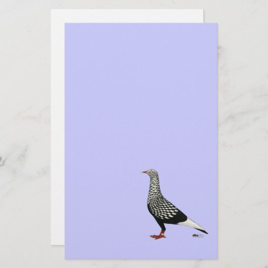 Flying Flight Teager Pigeon (Front/Back)