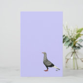 Flying Flight Teager Pigeon (Standing Front)