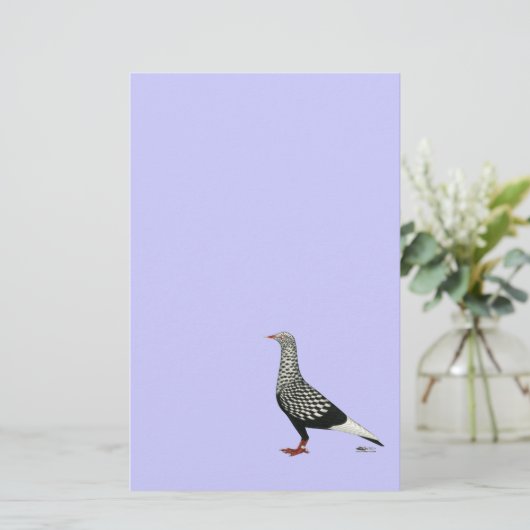 Flying Flight Teager Pigeon (Standing Front)