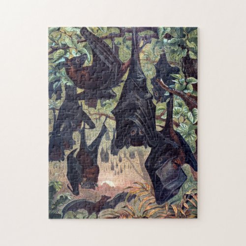 Flying Fox Puzzle