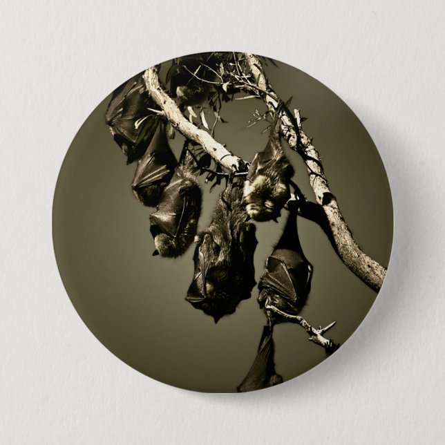 Flying Foxes Pinback Button (Front)