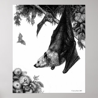Flying Foxes Poster/Prints Poster