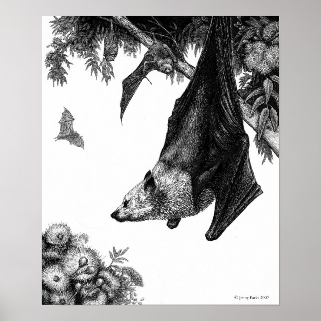 Flying Foxes Poster/Prints Poster (Front)