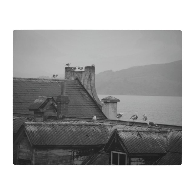 Flying Free from Alcatraz Metal Print (Front)