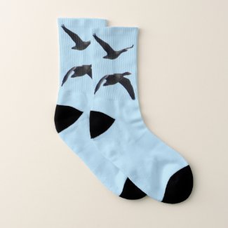 Flying Geese Close Up Cust. BG Blue Socks