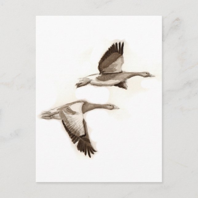 Flying geese drawing postcard (Front)