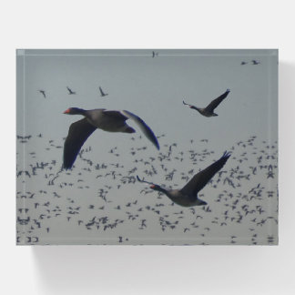 Flying Geese Paperweight