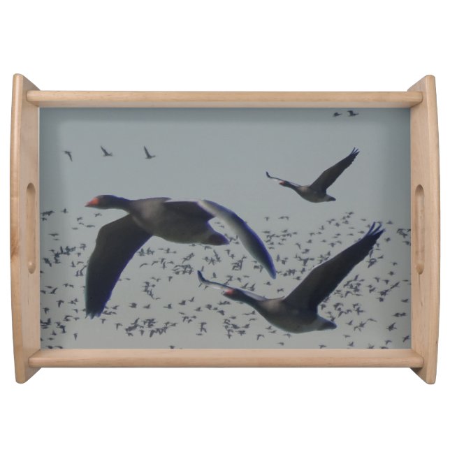 Flying Geese Serving Tray (Front)