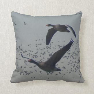 Flying Geese Throw Pillow