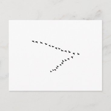 Flying Geese "V" Formation Postcard