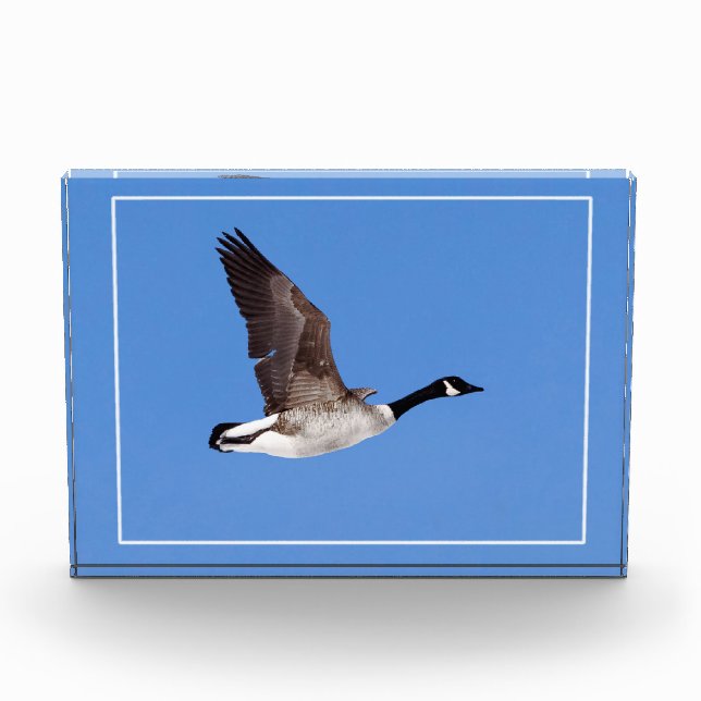 Flying Goose Acrylic Award (Front)