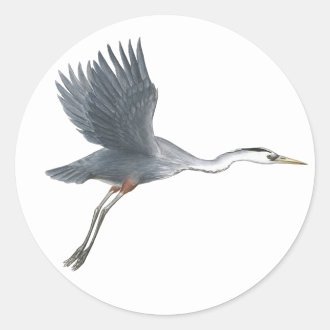 Flying Great Blue Heron Sticker (Front)