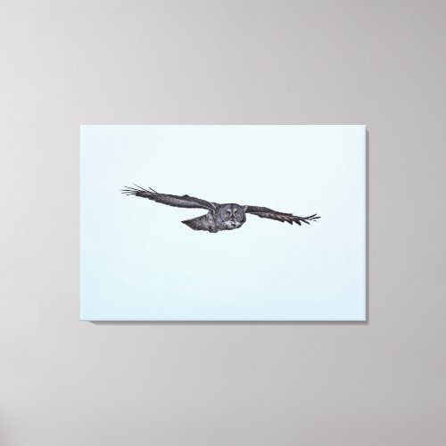 Flying Great Grey Owl and Blue Winter Sky Canvas Print