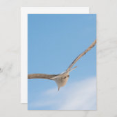 Flying gull (Front/Back)