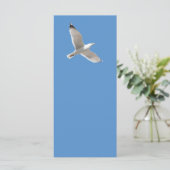 Flying gull (Standing Front)