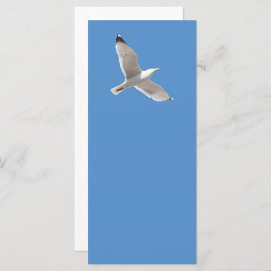 Flying gull (Front/Back)