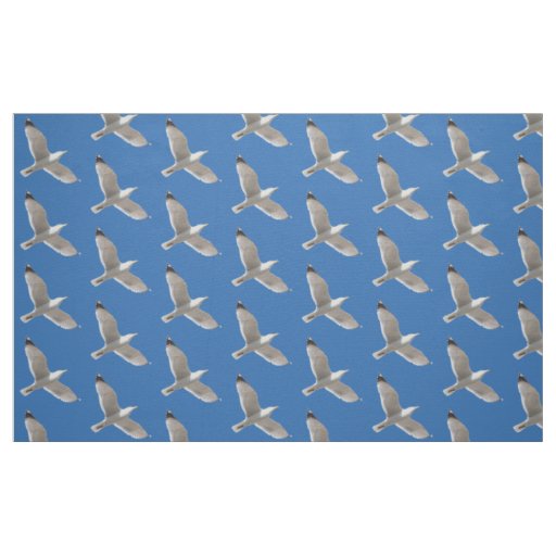 Flying gull fabric