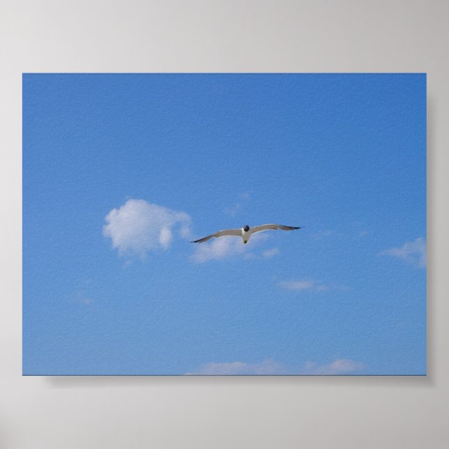 Flying Gull Poster (Front)