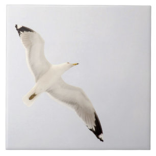 Flying Gull Tile