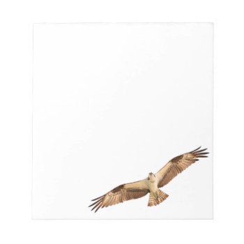Flying Hawk Notepad by TrailsThroughNature at Zazzle