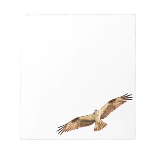 Flying Hawk Notepad