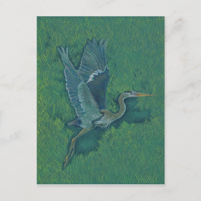 Flying Heron Postcard (Front)