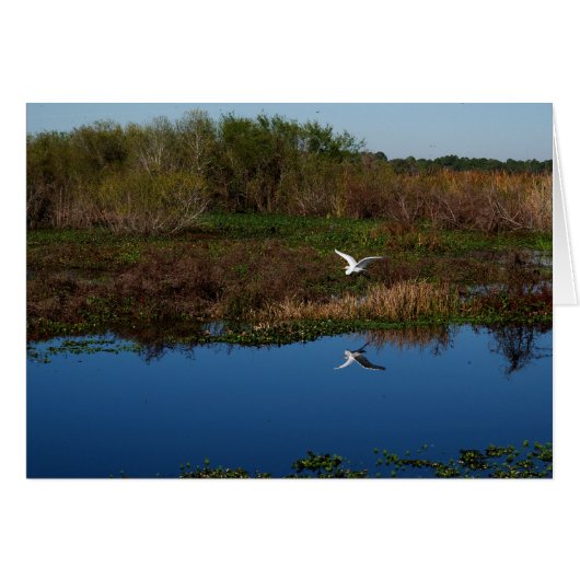 Flying Heron Reflected Cards (Front Horizontal)