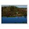 Flying Heron Reflected