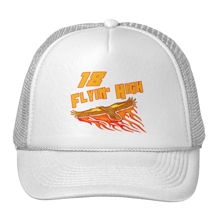 Flying High 18th Birthday Gifts Hat