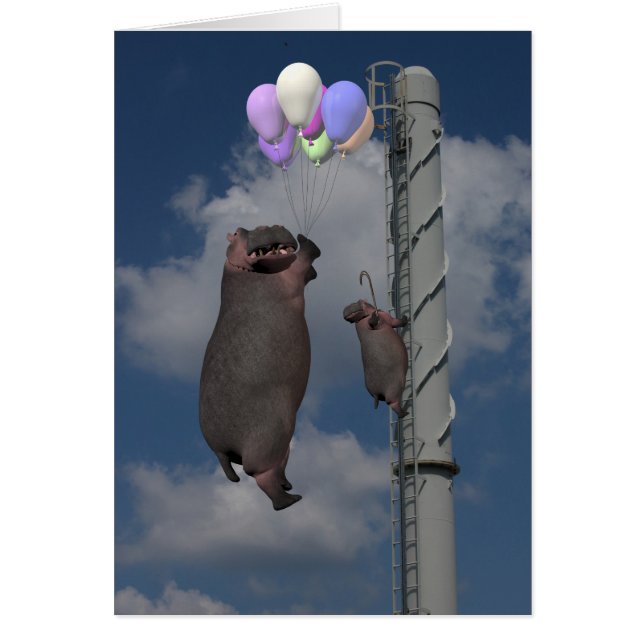 Flying Hippopotamus Cards (Front)