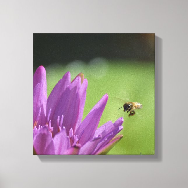 Flying Honey Bee Canvas Print (Front)