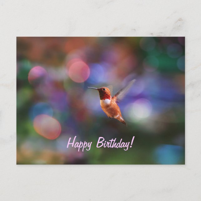 Flying Hummingbird and Colorful Background Postcard (Front)