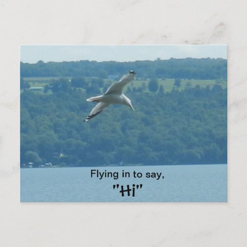 FLYING IN TO SAY HI postcard