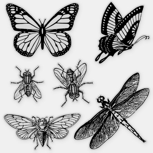 Flying insects transparent stickers
