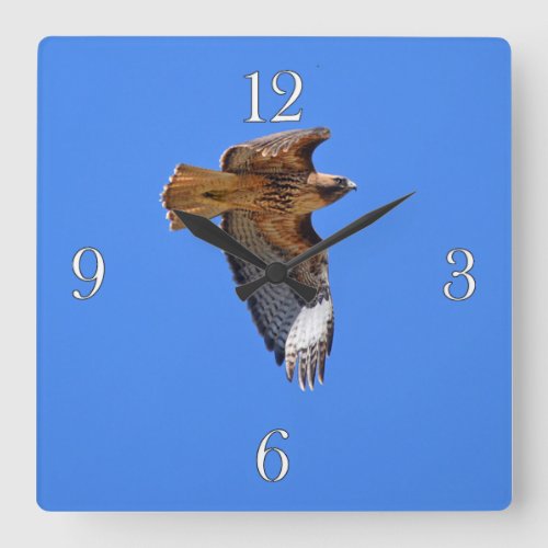 Flying Juvenile Red_Tailed Hawk Wildlife Clock