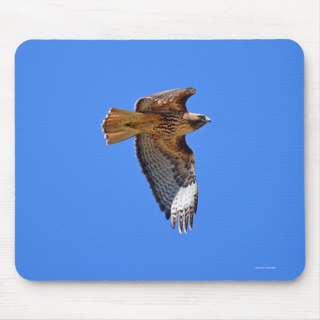 Flying Juvenile Red-Tailed Hawk Wildlife Mousepad (Front)