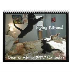 Flying Kittens! - Love & Hisses 2027 Calendar