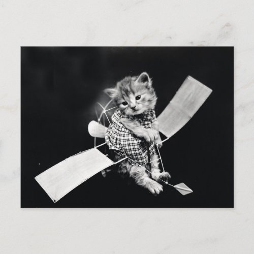 Flying Kitty Vintage Black and White Postcard